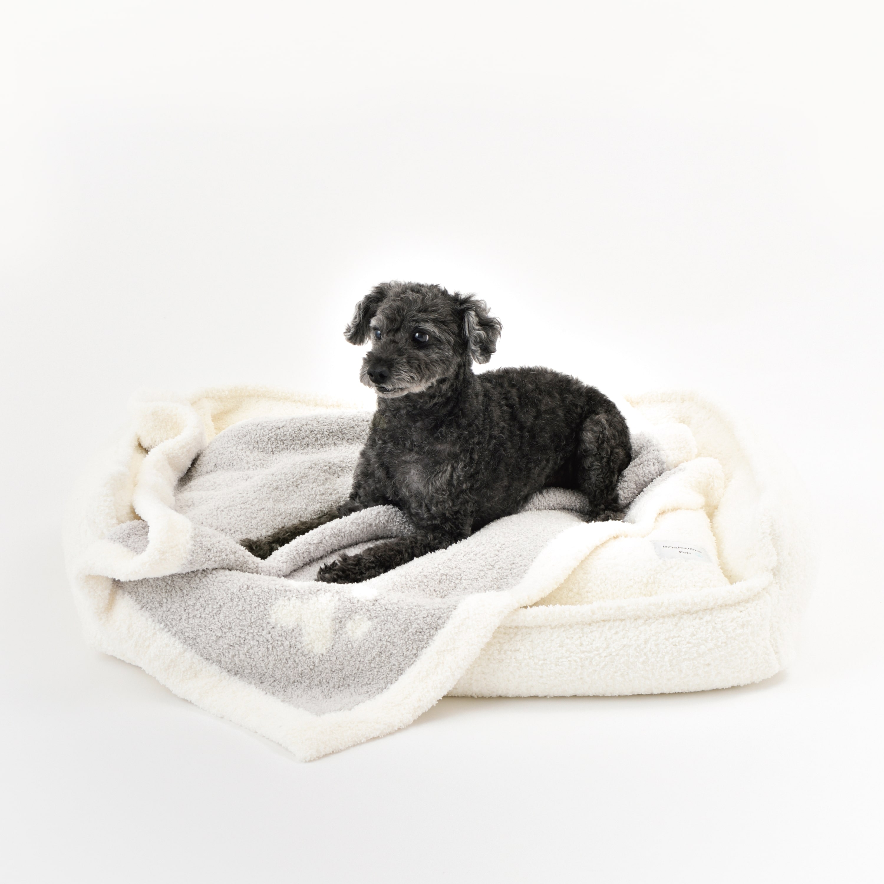 PET BLANKET