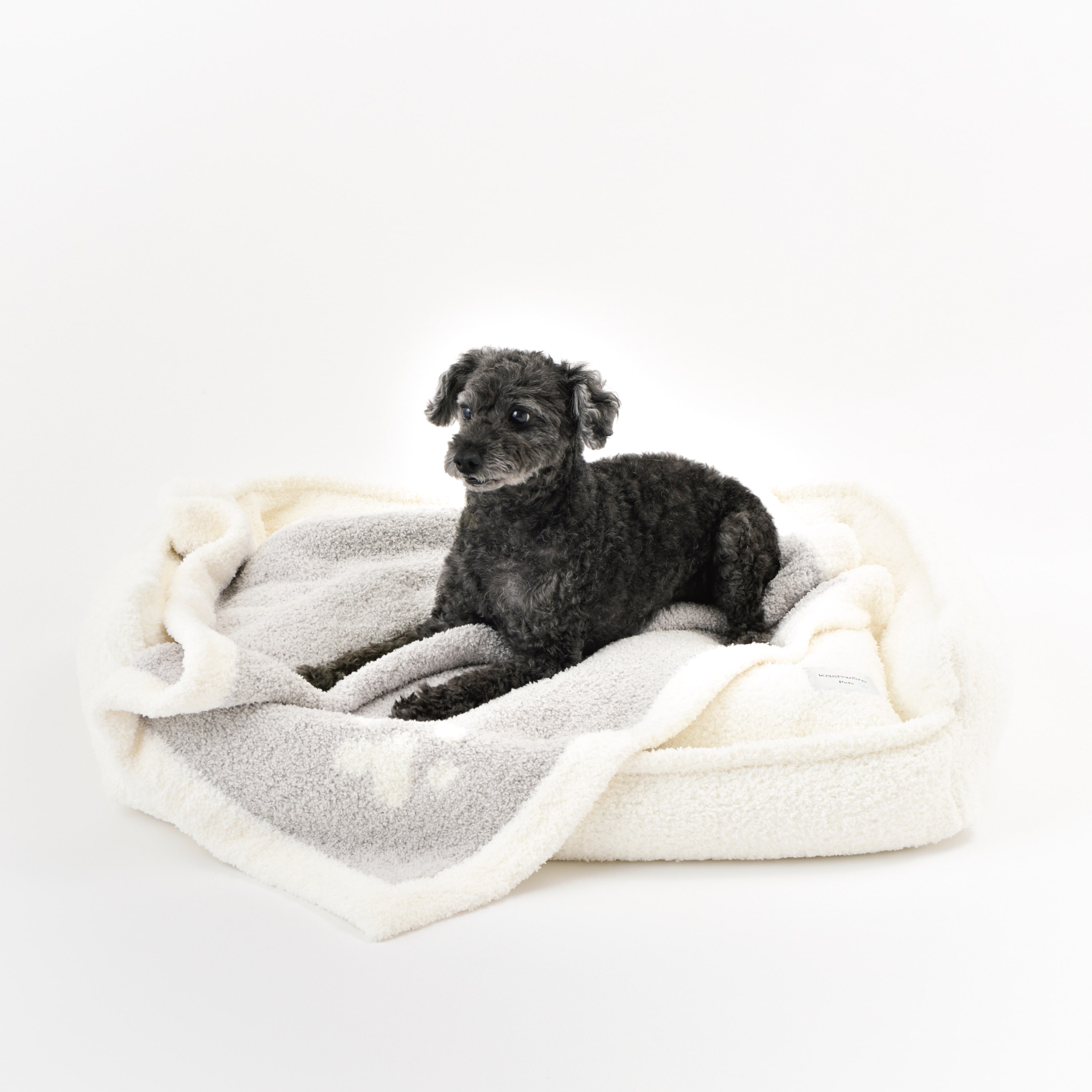 PET BLANKET