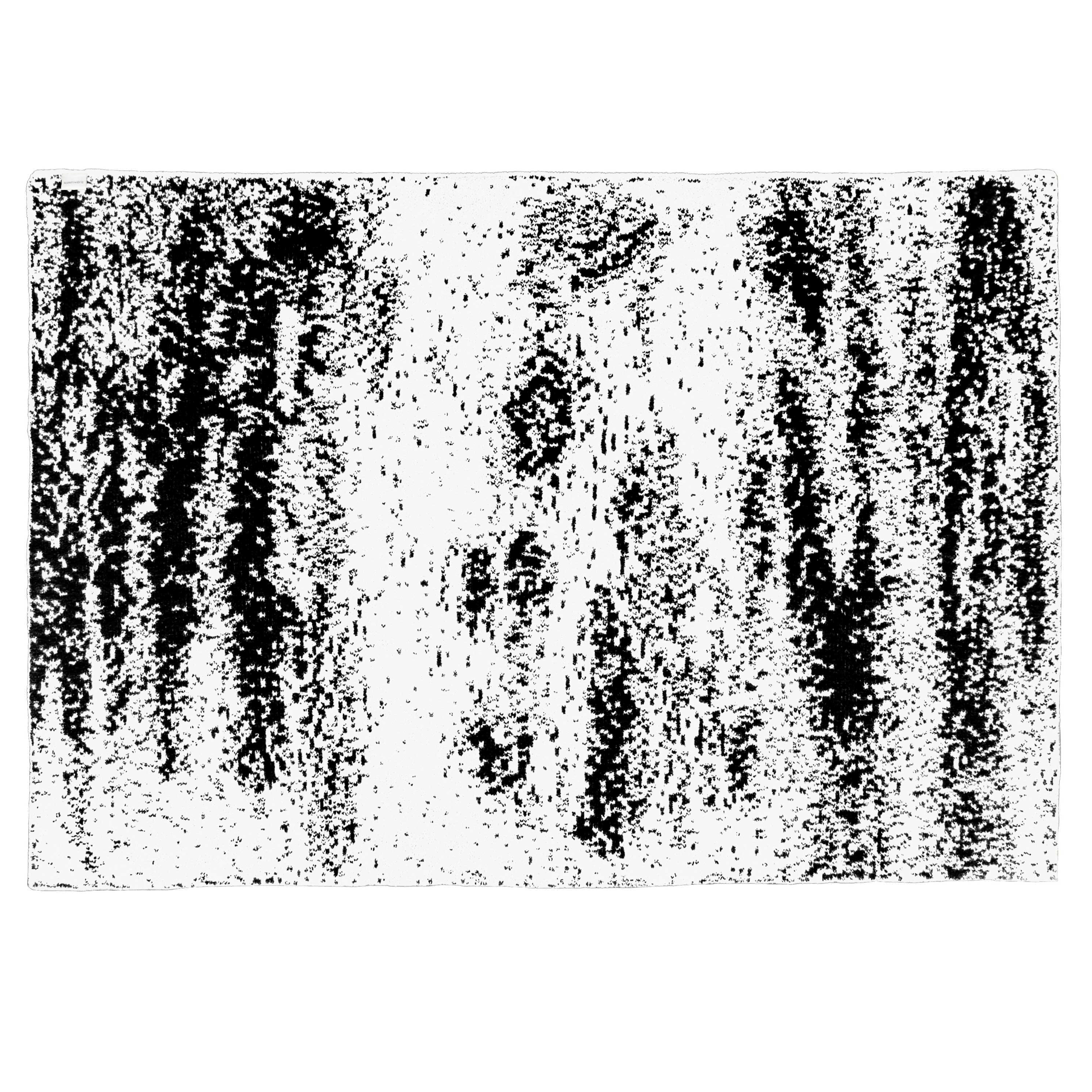 20th BLANKET / BRUSH