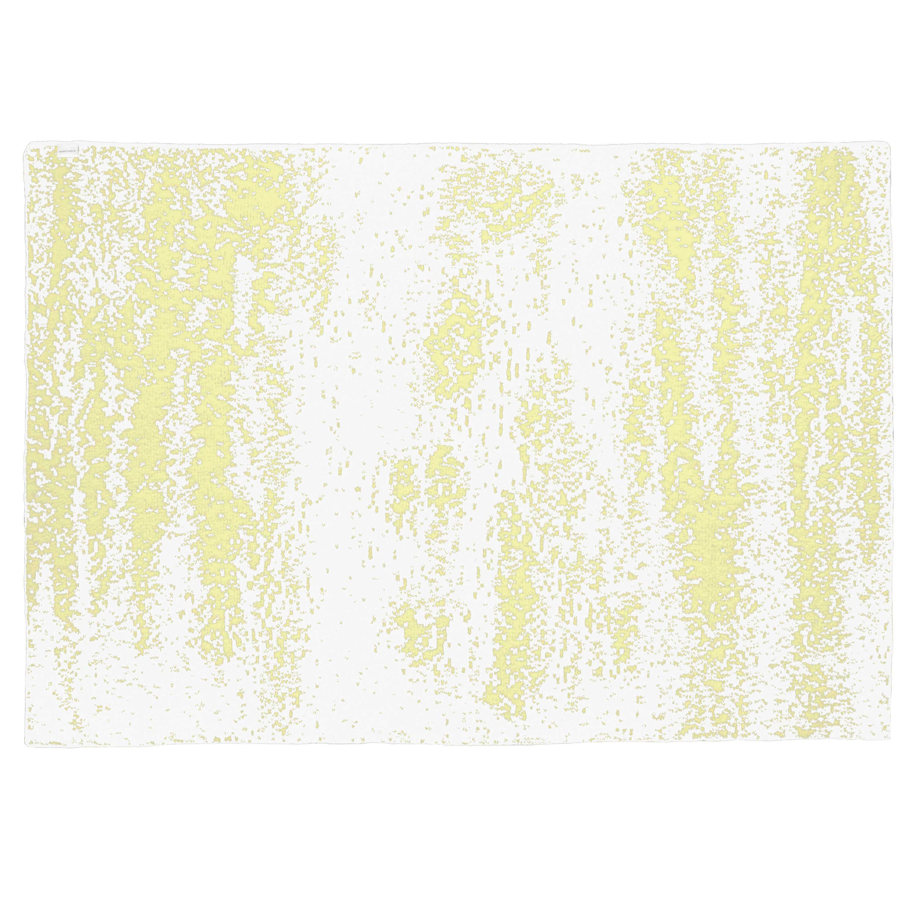 20th BLANKET / BRUSH