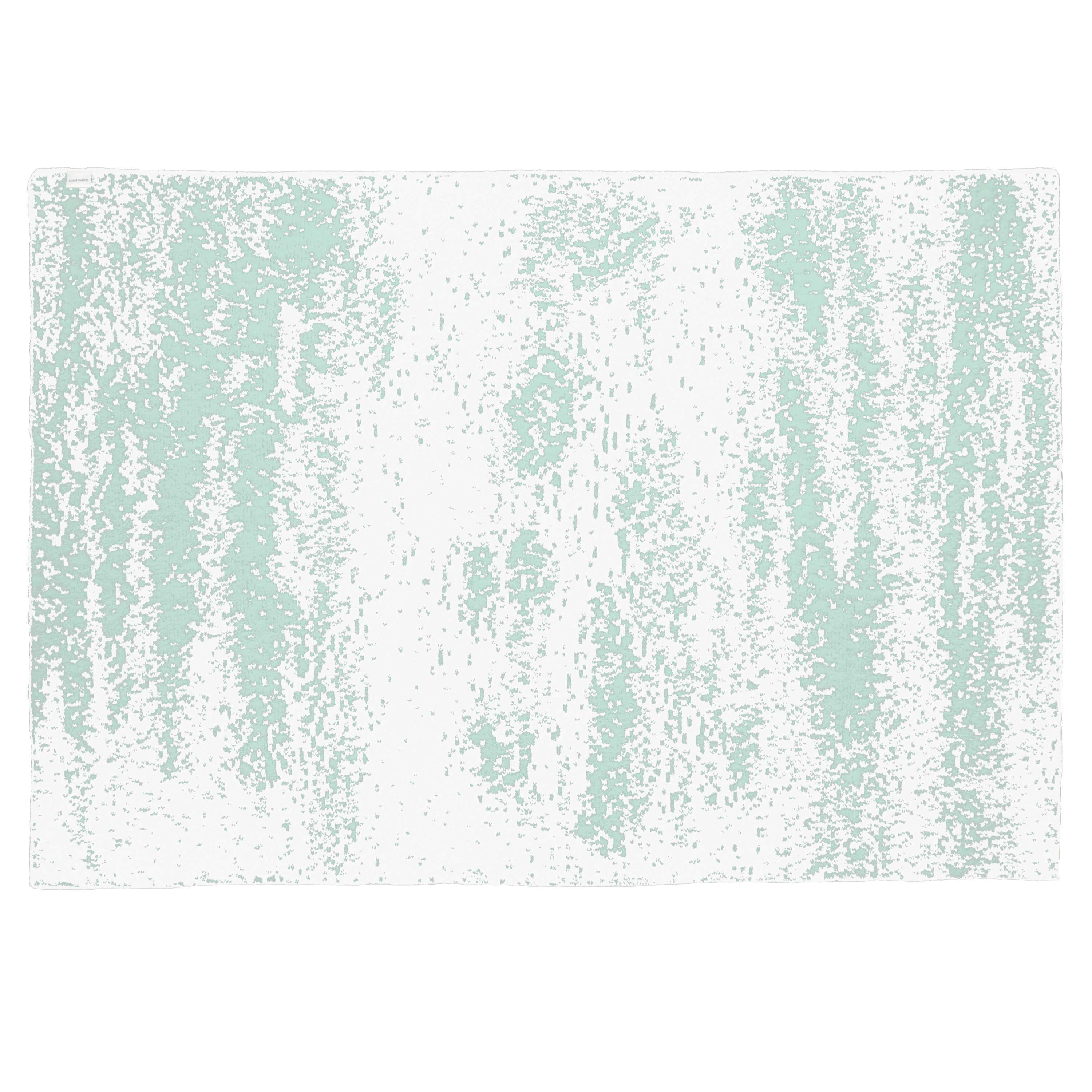 20th BLANKET / BRUSH