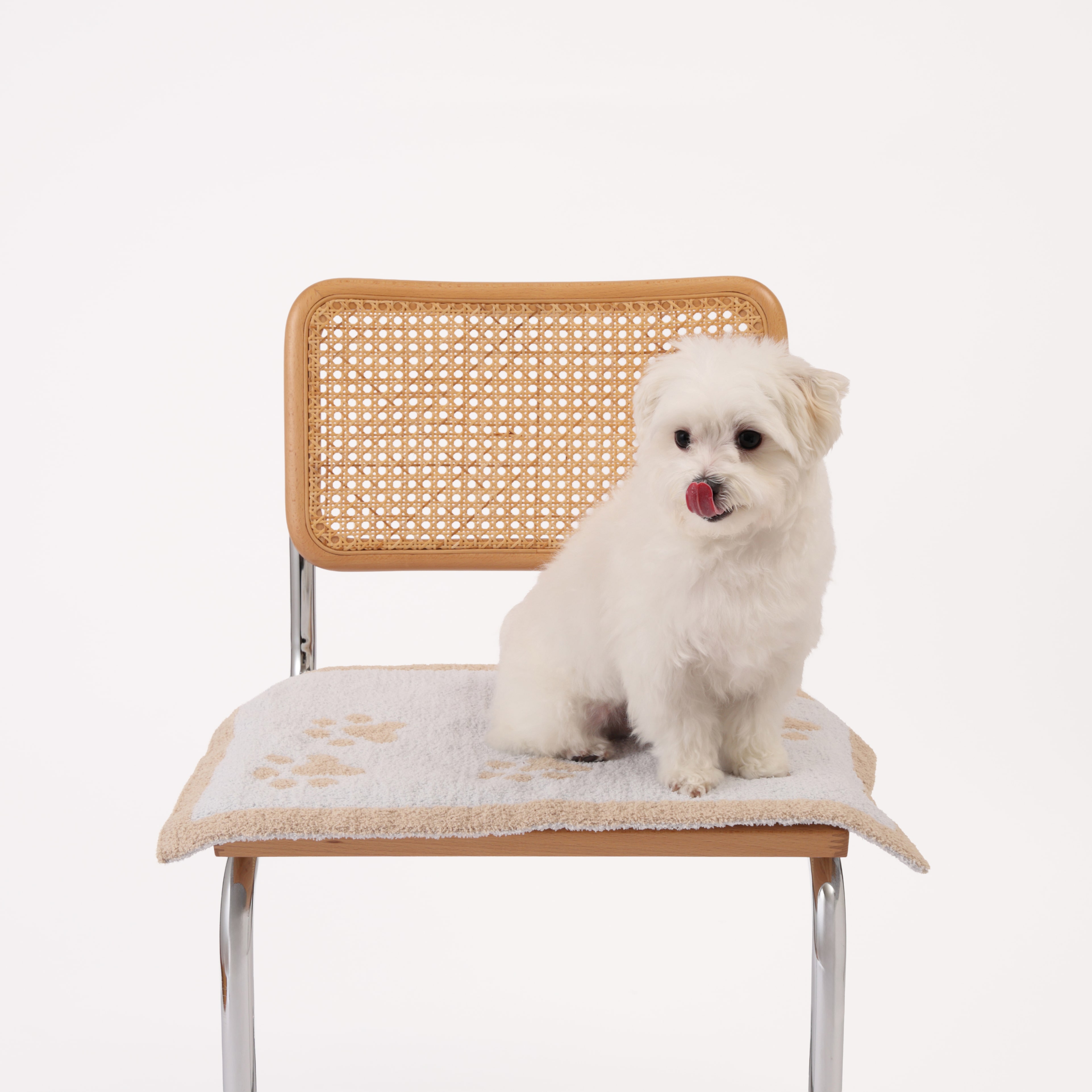 PET MAT PAW PRINTS