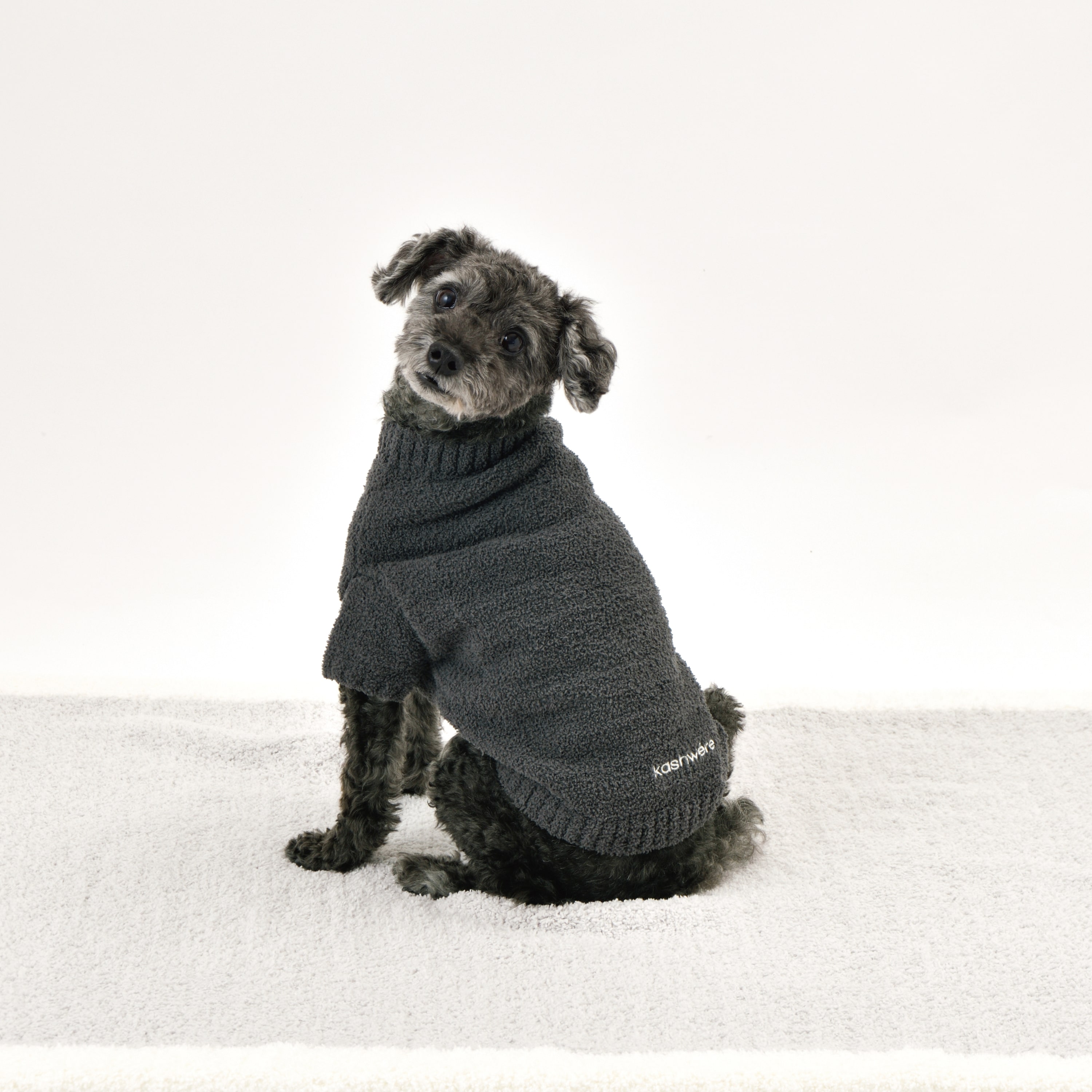 PET PULLOVER(M darkgray): PETS | kashwere Japan (カシウエア