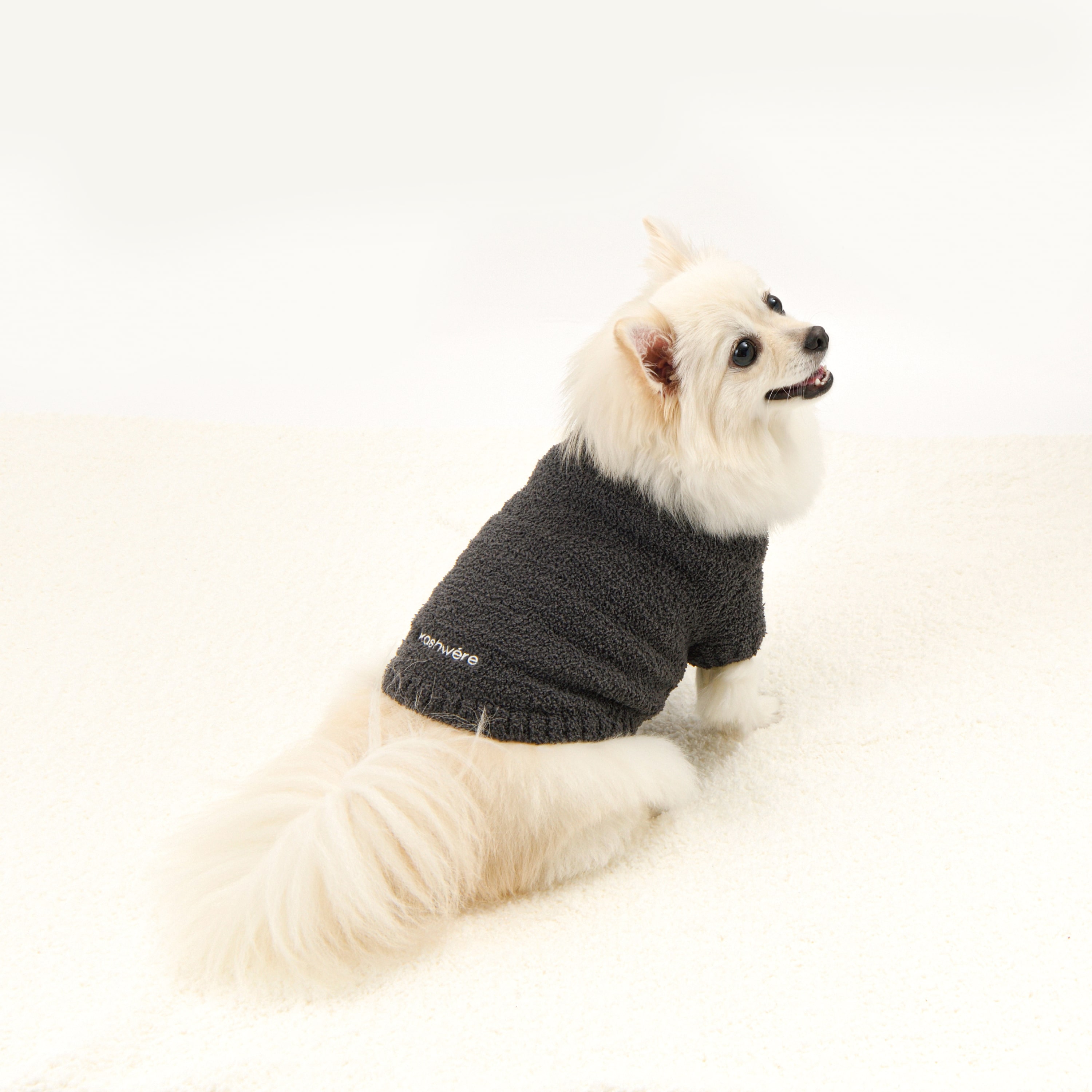 PET PULLOVER