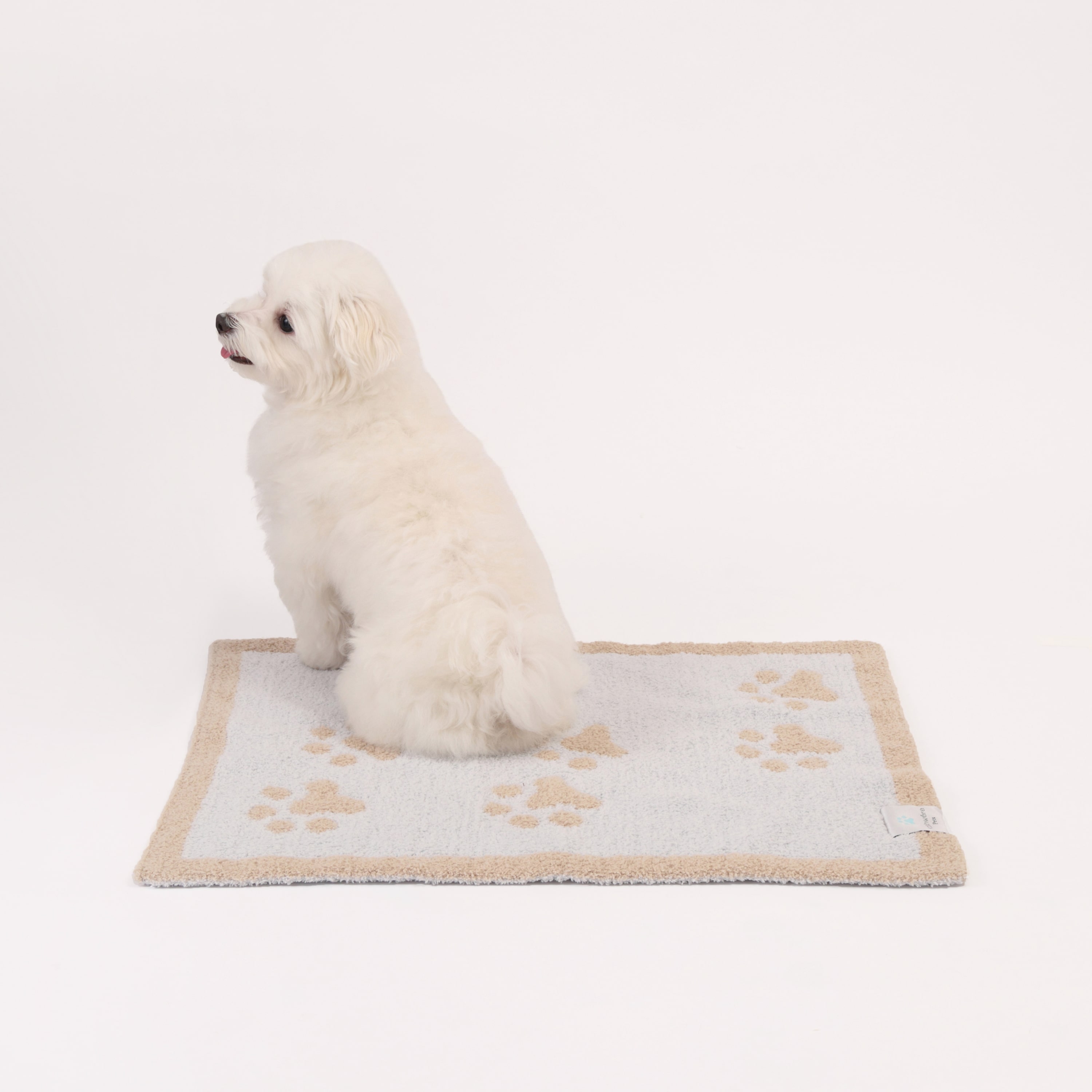 PET MAT PAW PRINTS