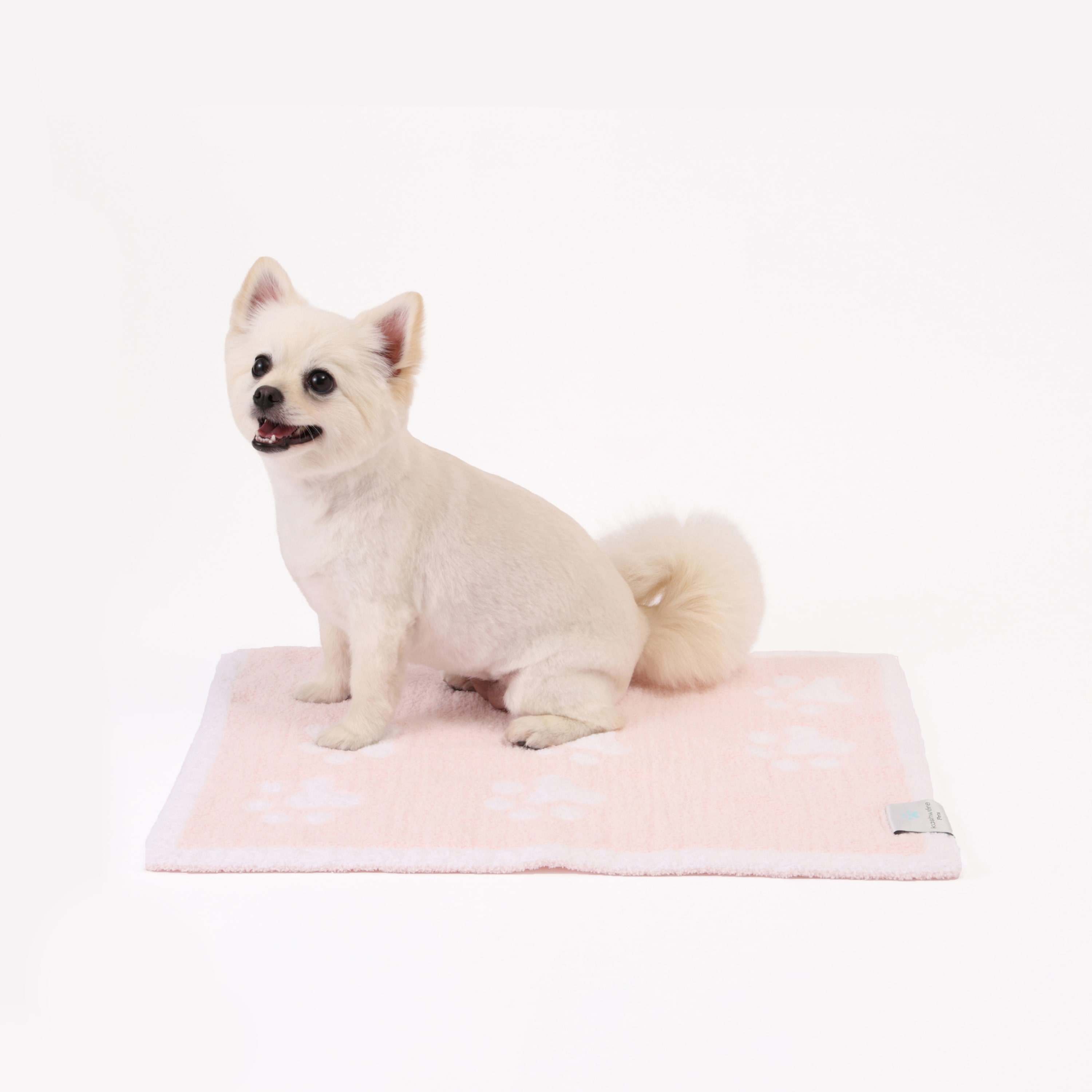 PET MAT PAW PRINTS