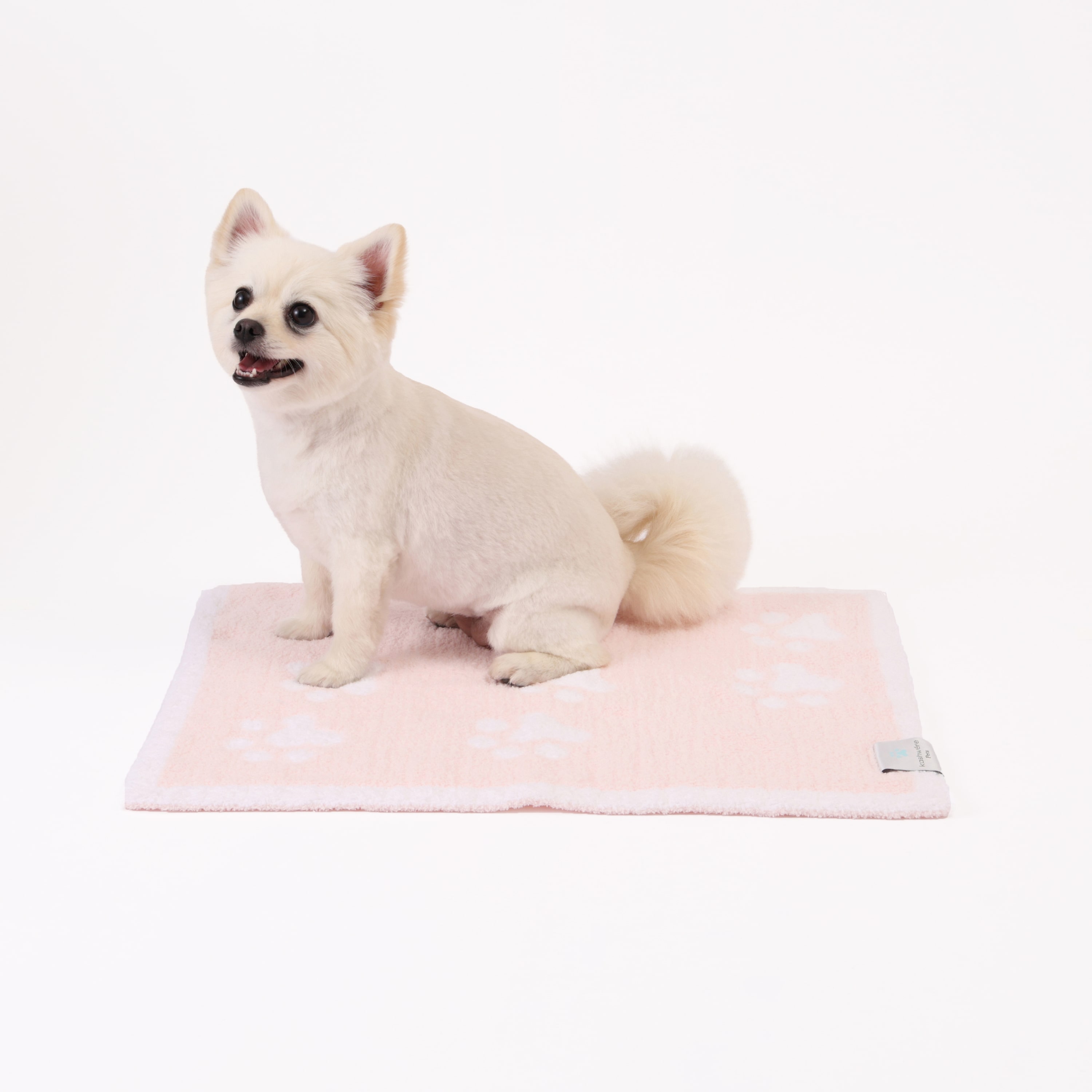 PET MAT PAW PRINTS