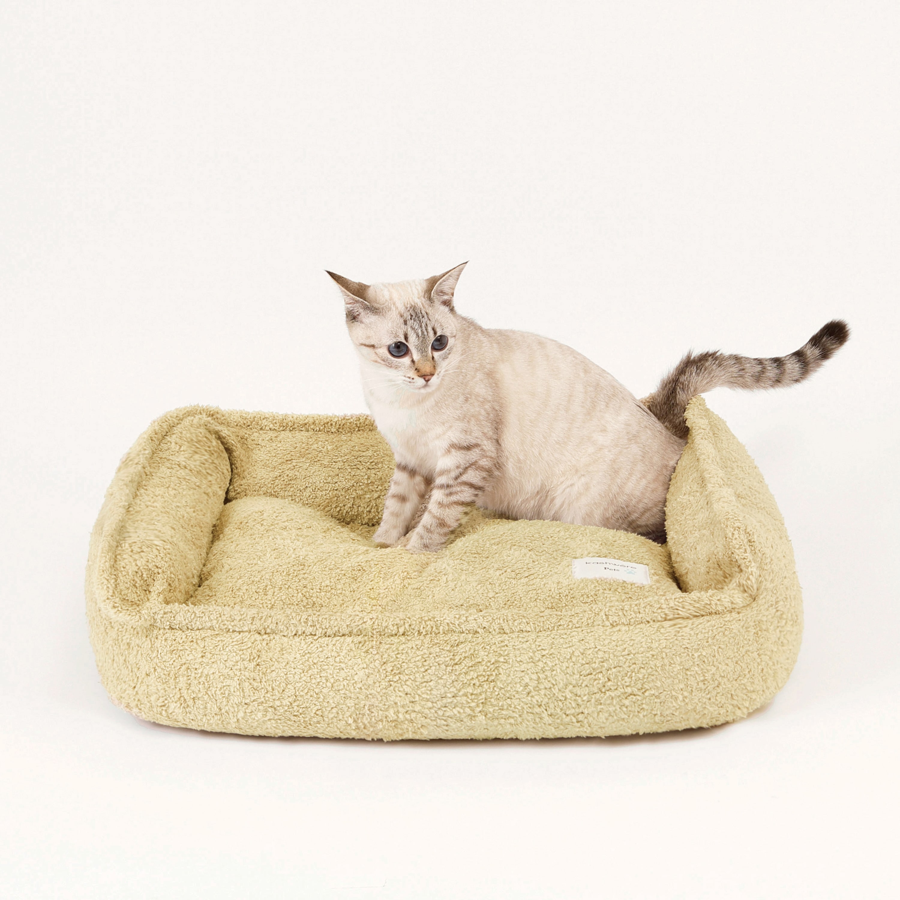 SOFA BEDS