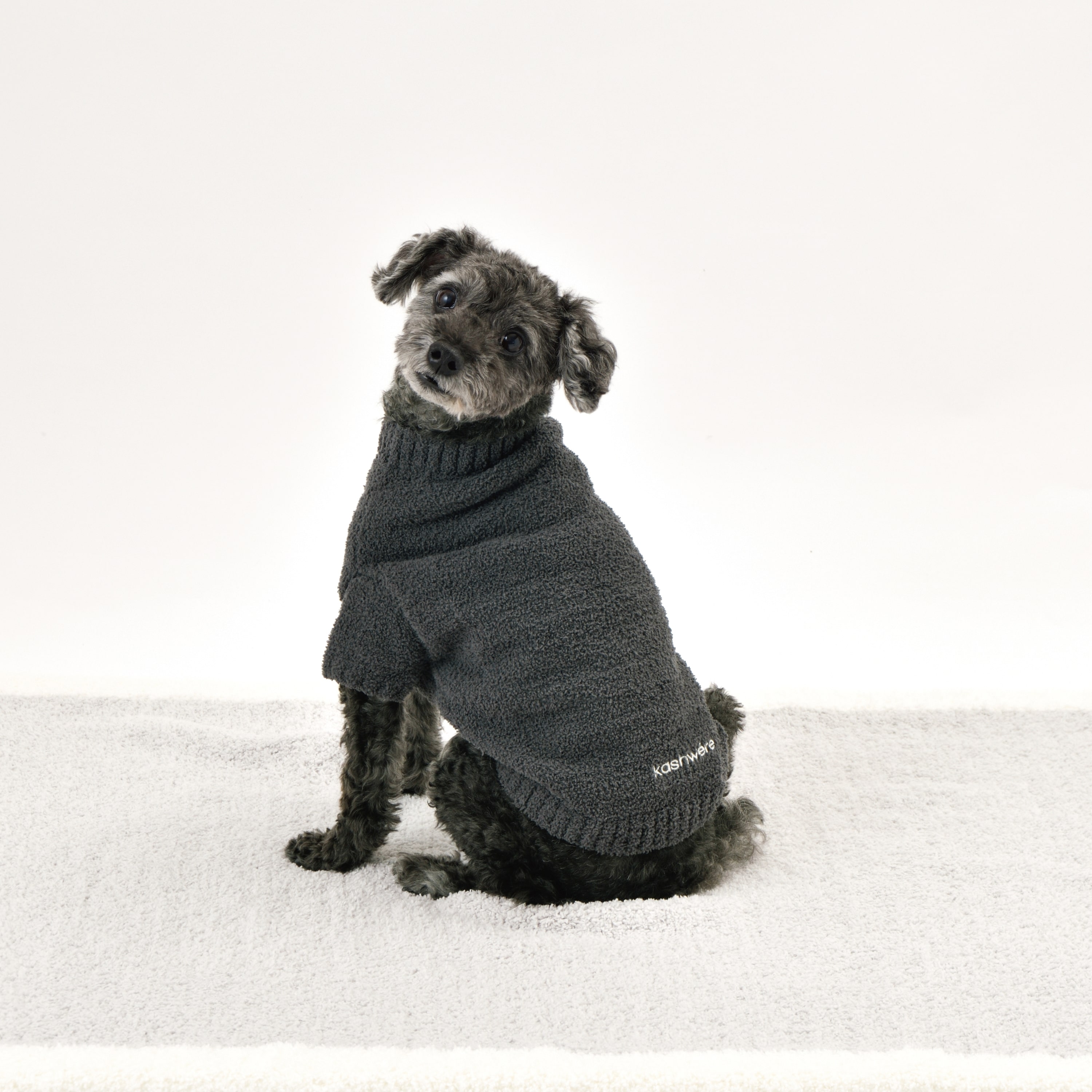PET PULLOVER