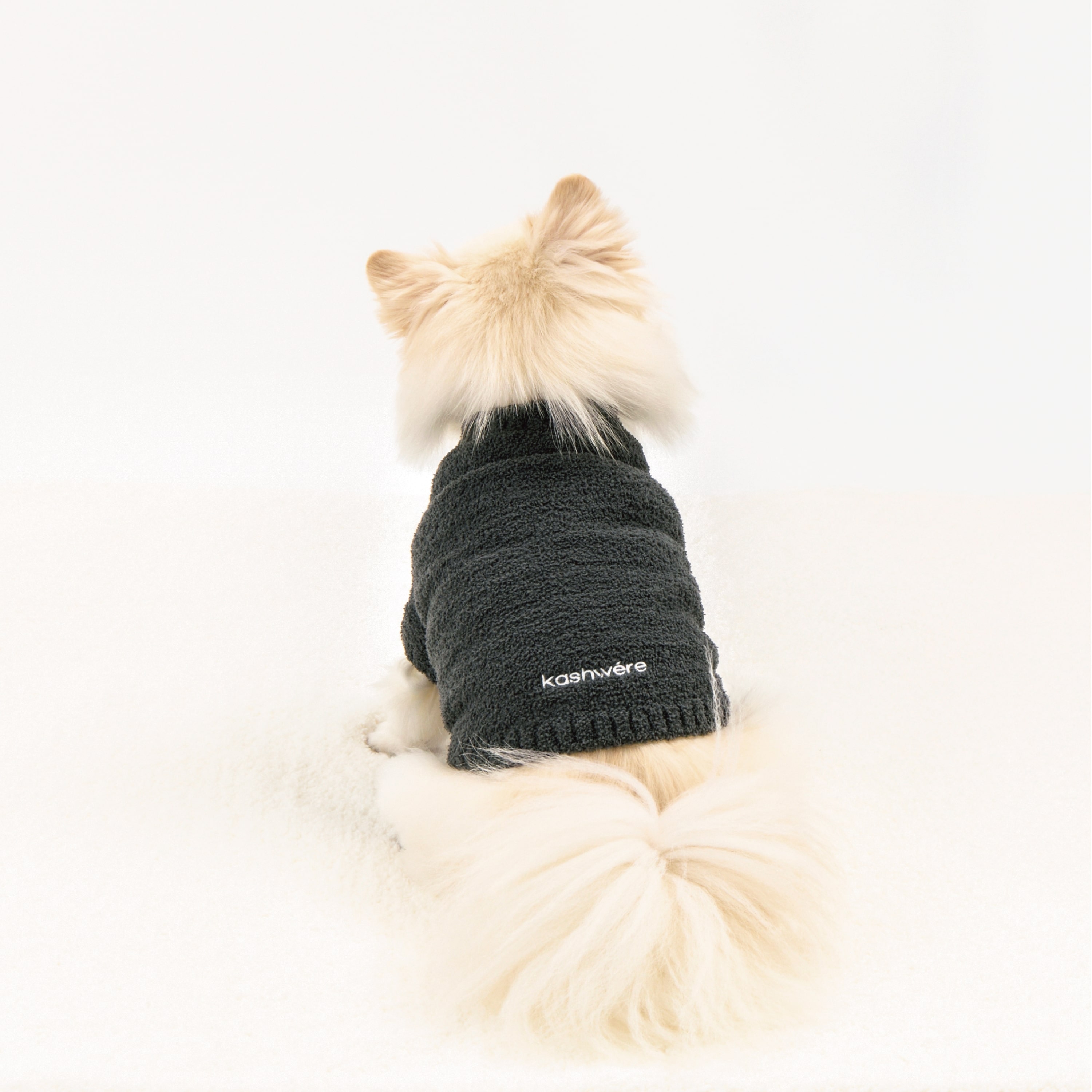 PET PULLOVER