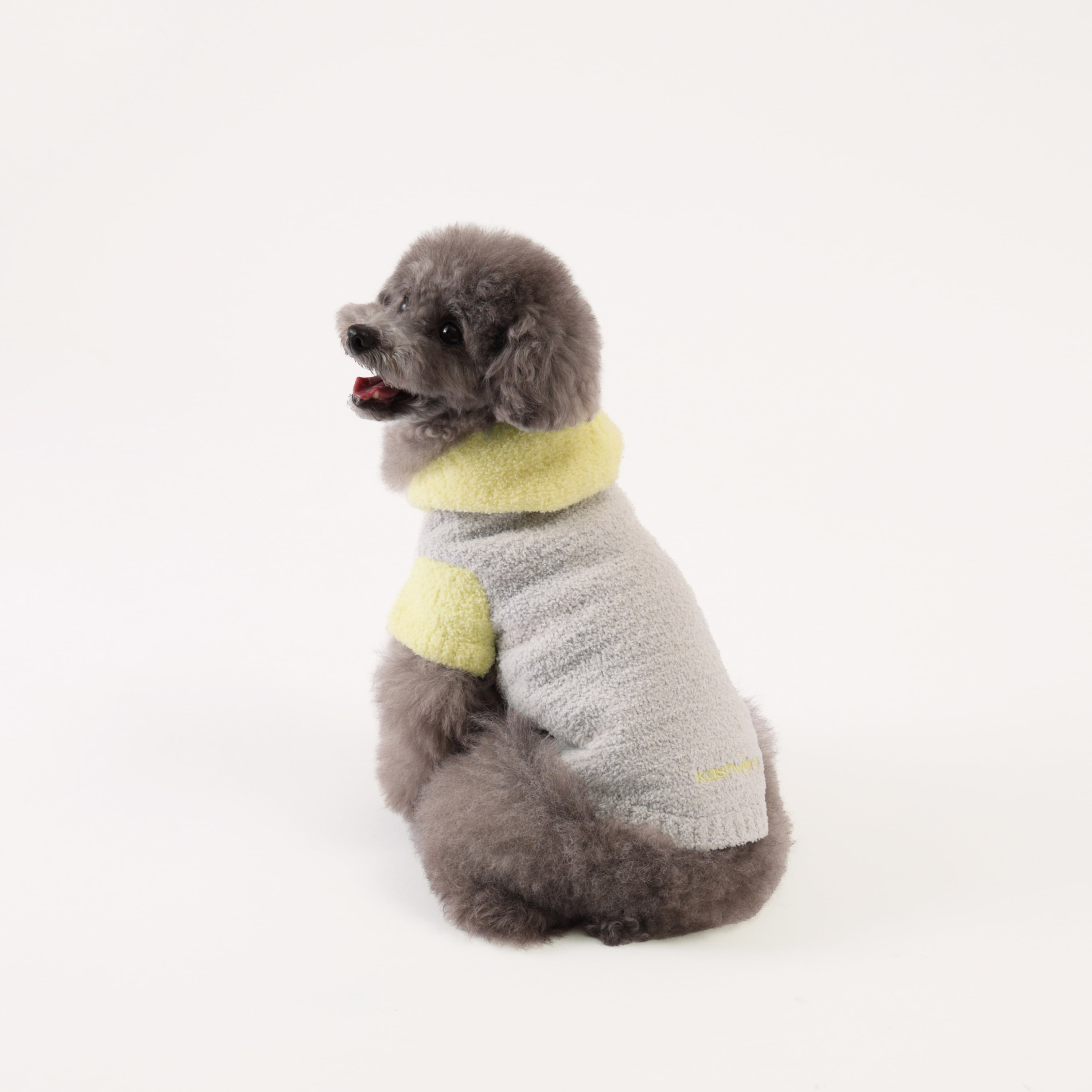 PET PULLOVER HOODIE