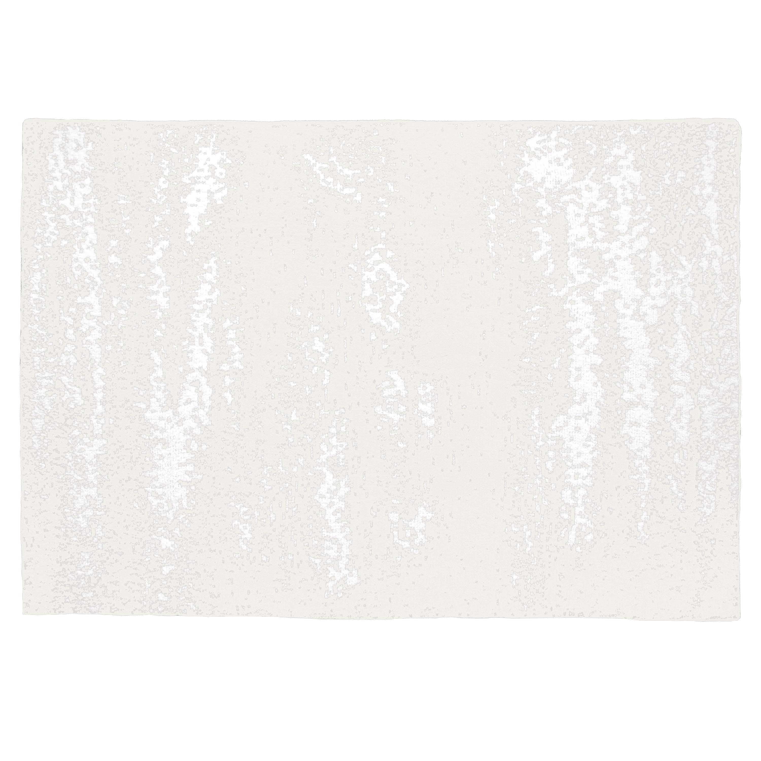 20th BLANKET / BRUSH