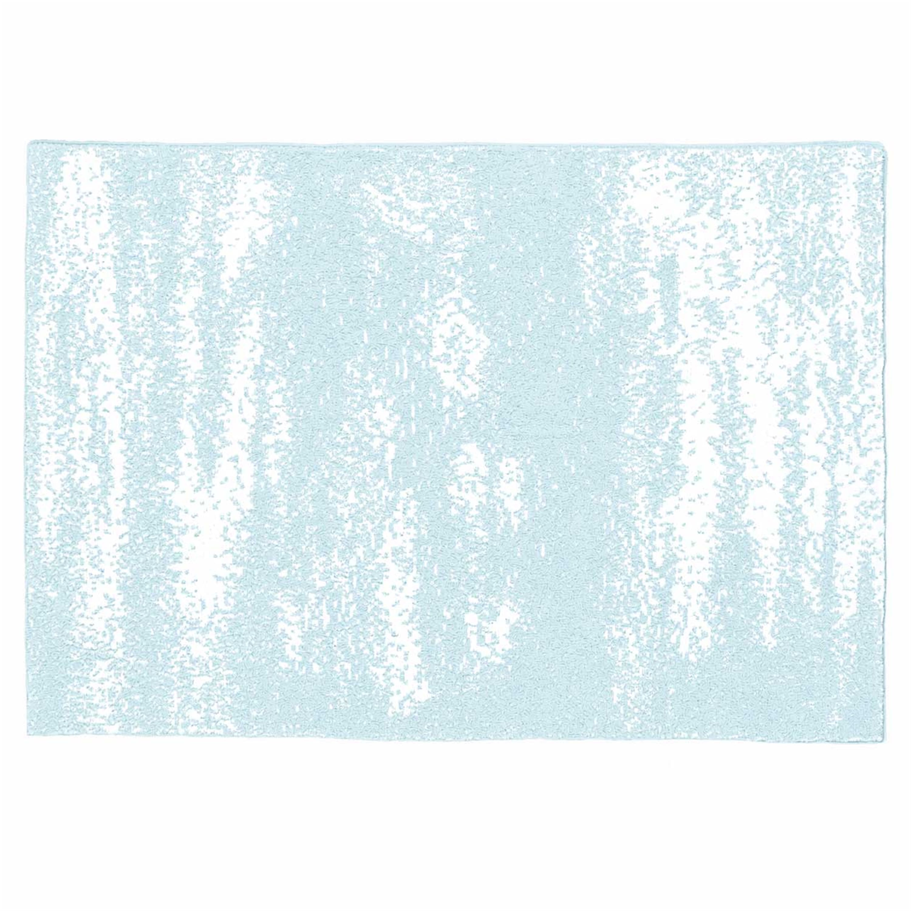 20th BLANKET / BRUSH