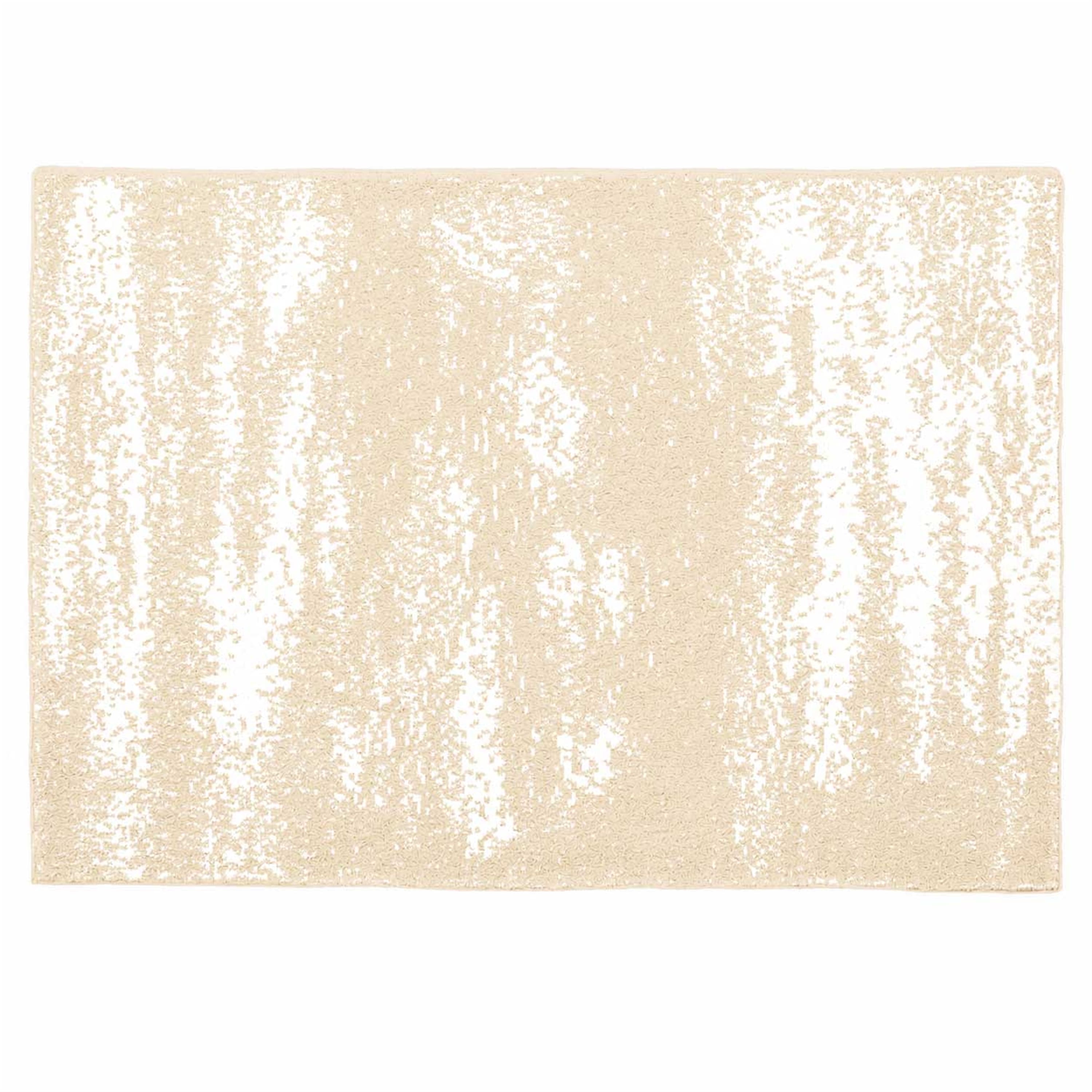 20th BLANKET / BRUSH