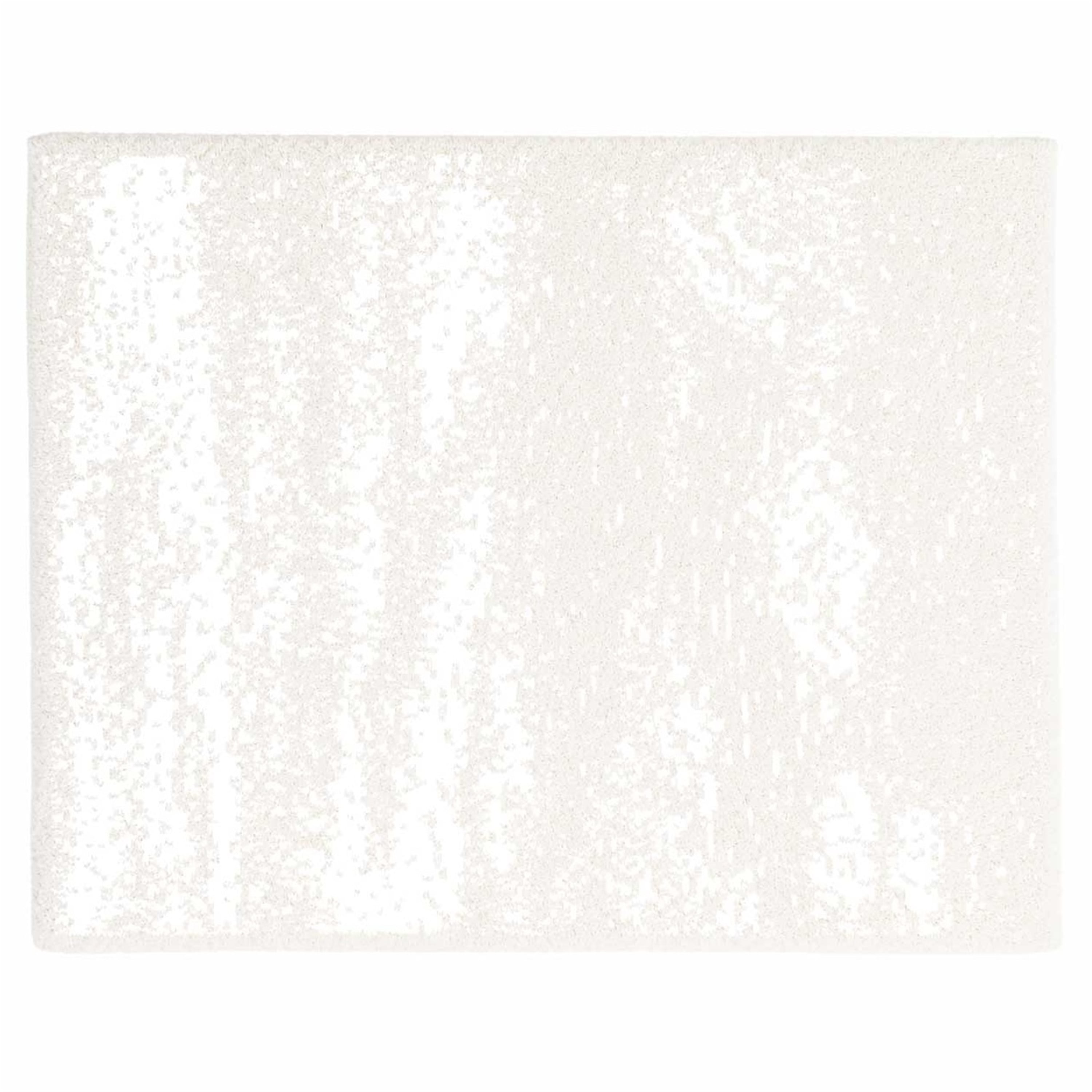 20th HALF BLANKET / BRUSH