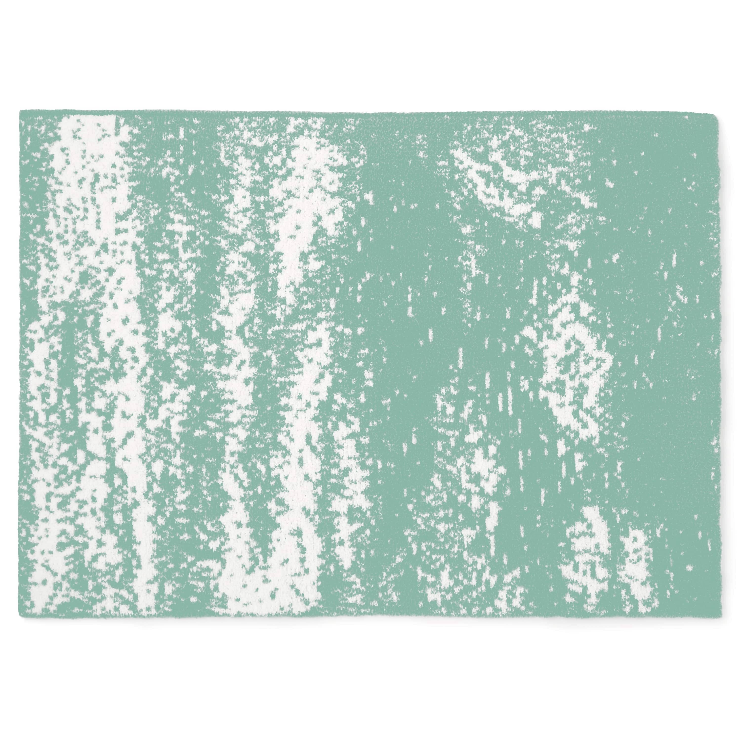 20th HALF BLANKET / BRUSH