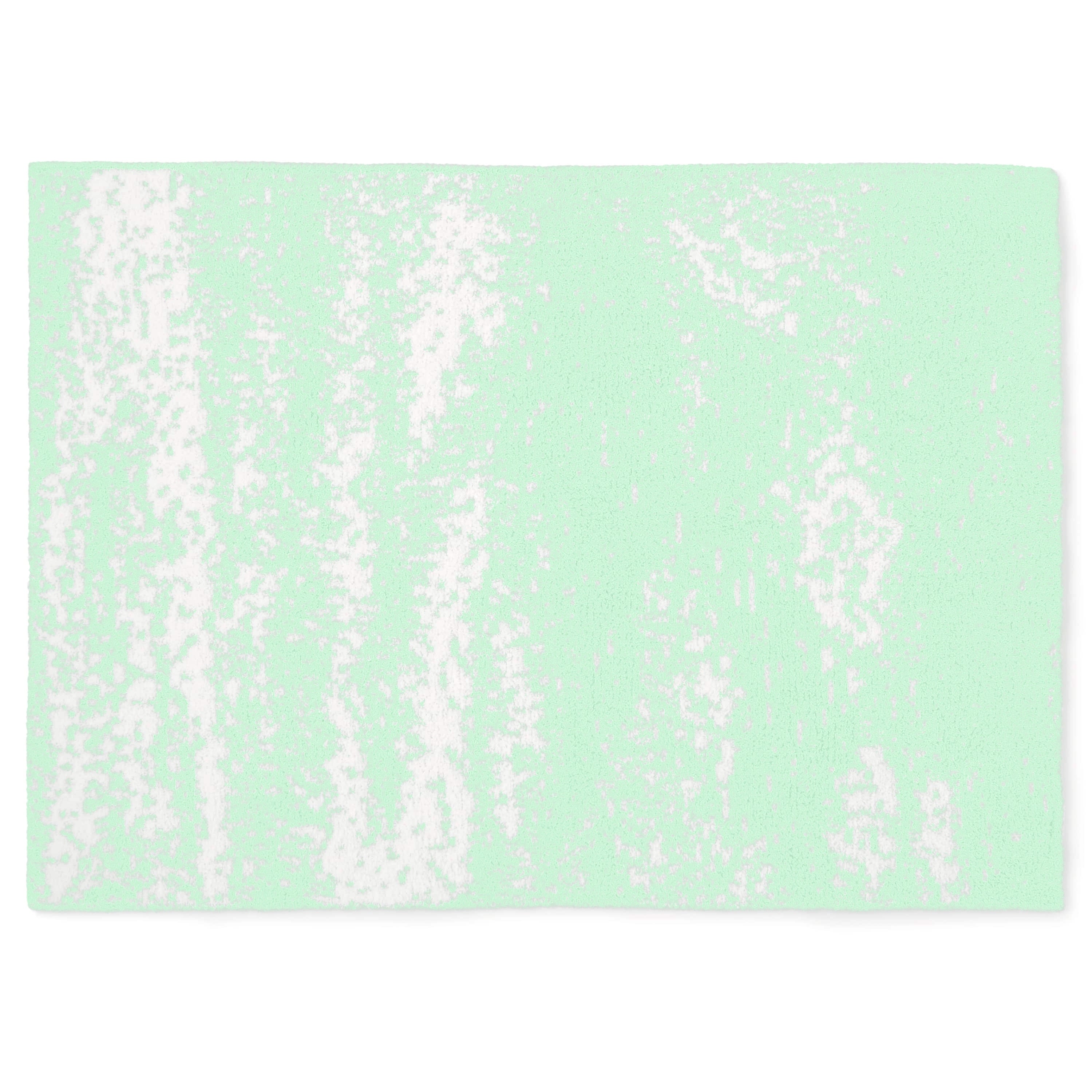 20th HALF BLANKET / BRUSH