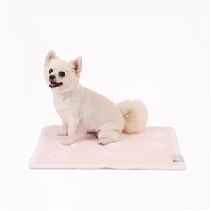 PET MAT PAW PRINTS