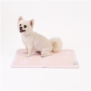 PET MAT PAW PRINTS