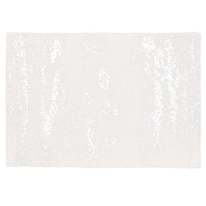 20th BLANKET / BRUSH