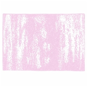20th BLANKET / BRUSH (sakura)