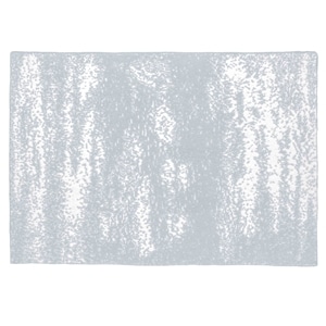 20th BLANKET / BRUSH