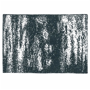 20th BLANKET / BRUSH