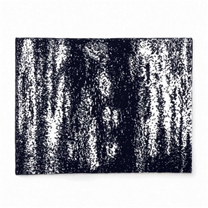 20th BLANKET / BRUSH (navy)