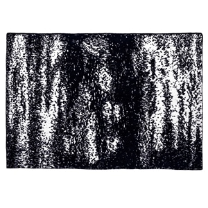 20th BLANKET / BRUSH