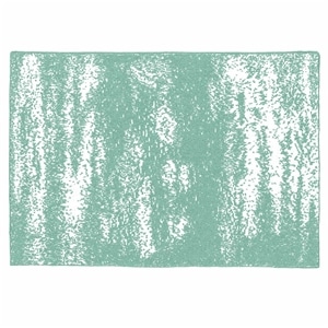 20th BLANKET / BRUSH