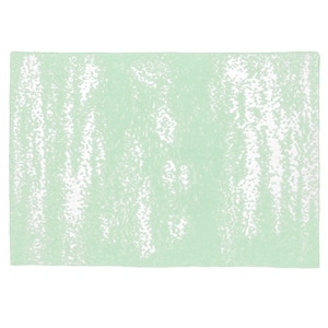 20th BLANKET / BRUSH