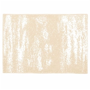 20th BLANKET / BRUSH