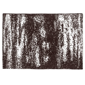 20th BLANKET / BRUSH