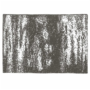 20th BLANKET / BRUSH