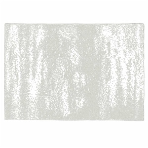 20th BLANKET / BRUSH