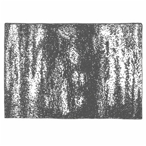 20th BLANKET / BRUSH