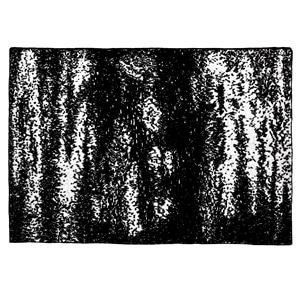 20th BLANKET / BRUSH