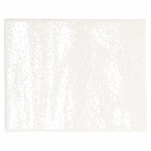 20th HALF BLANKET / BRUSH