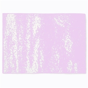 20th HALF BLANKET / BRUSH