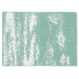 20th HALF BLANKET / BRUSH