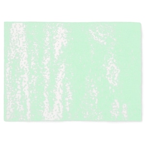 20th HALF BLANKET / BRUSH