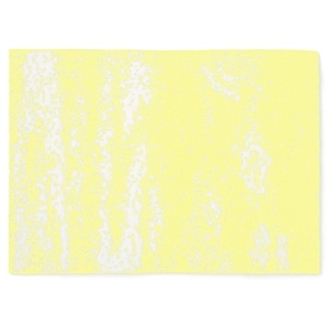 20th HALF BLANKET / BRUSH