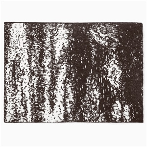 20th HALF BLANKET / BRUSH
