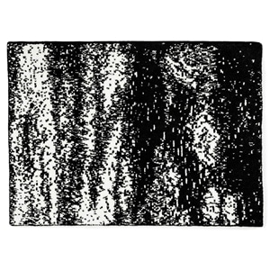 20th HALF BLANKET / BRUSH